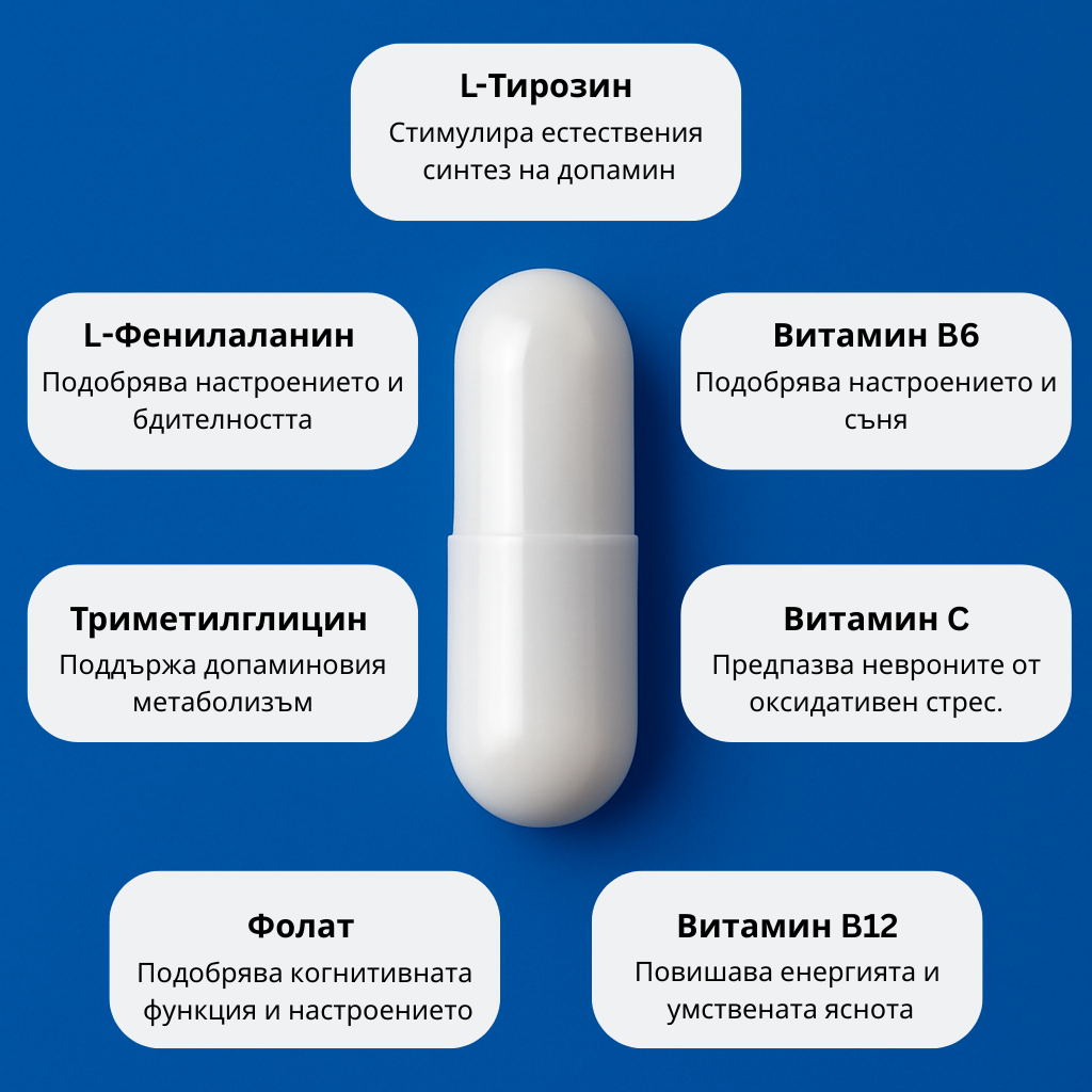 Съставки на Herbiora Dopamine Booster - L-Тирозин, L-Фенилаланин, Триметилглицин, витамини B6, B12, C, Фолат - подпомагат синтеза на допамин, повишават енергията, настроението и когнитивната функция